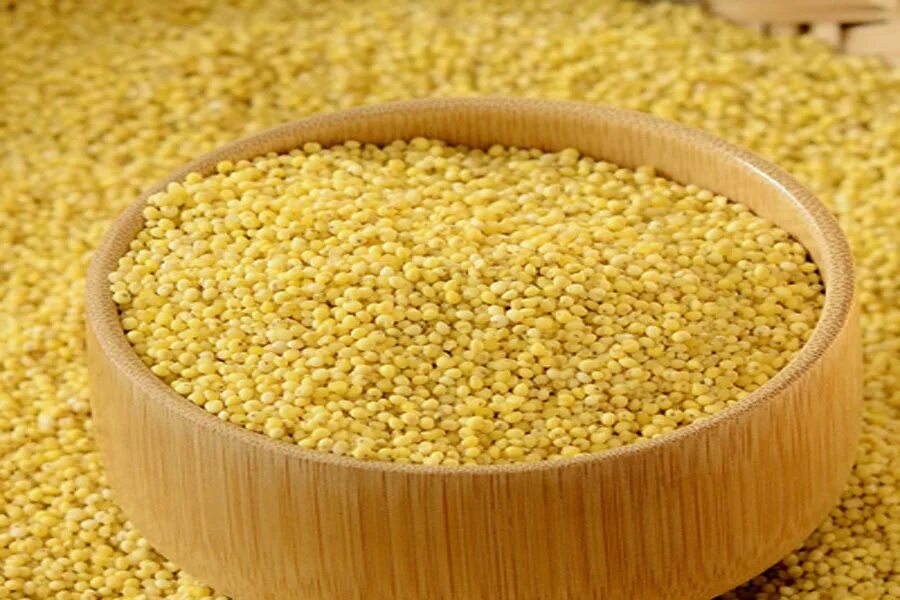 просо пшено пшенная каша. чумиза. пшено просо. сорго просо пшено. из проса пшенная крупа.