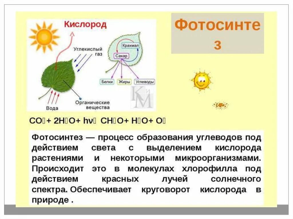 Крахмал кислород реакция