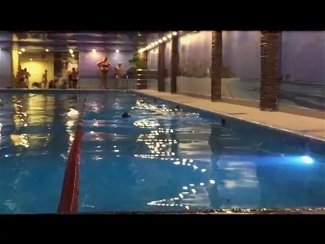 Дельфин королев болшевское