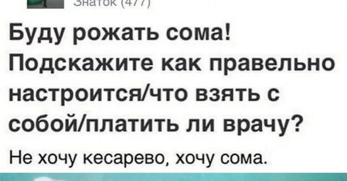 Анекдоты про беременность. Хочу родить сома письмо девочки. Я рожала сама. Сама посуди прикол. Сом прикол.