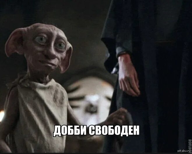 Добби подарили носок. Добби хозяин. добби теперь свободный эльф.