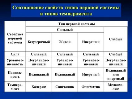 Описать свойства темперамента