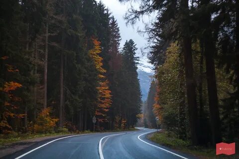 Дорога на домбай
