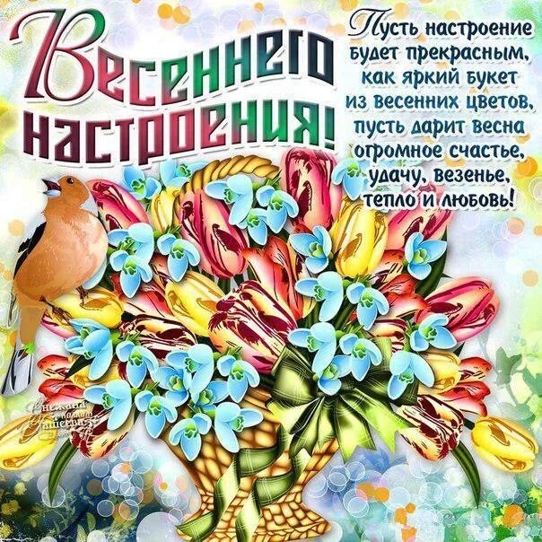 Весенние пожелания. Доброго весенненнго дня. Доброго весенненнго дня. Весеннего настроения пожелания. Красивое пожелание на весну.