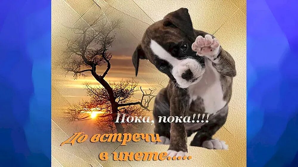 Пока нечаянно. Пока нечаянно. Пока нечаянно. Картинка до свидания. Хатико смешное фото.