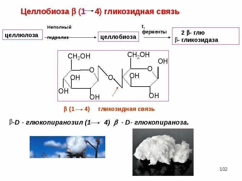 Целлюлоза вступает в гидролиз. Целлюлоза и целлобиоза. Целлобиоза Тип гликозидной связи. Целлобиоза формула Тип связи. Неполный гидролиз целлюлозы.