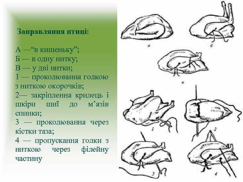 Перечислите способы заправки птицы. Способы заправки тушек птиц. заправка птицы в две нитки. заправка тушки птицы в кармашек.
