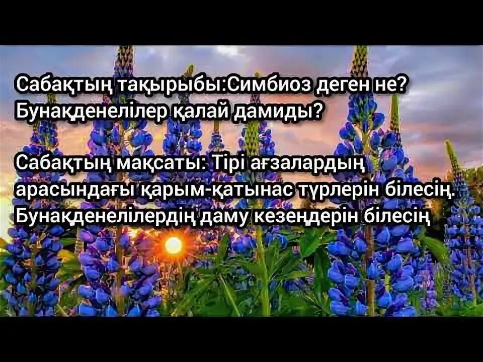 Симбиоз картинки. Примеры симбиотические взаимоотношения в биологии. Что такое симбиоз в биологии 7 класс. Взаимовыгодные отношения организмов. 4 сынып жаратылыстану симбиоз деген не.
