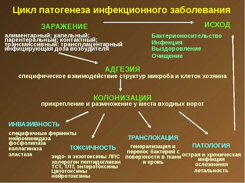 Какой способ предупреждения и устранения патологических привычек