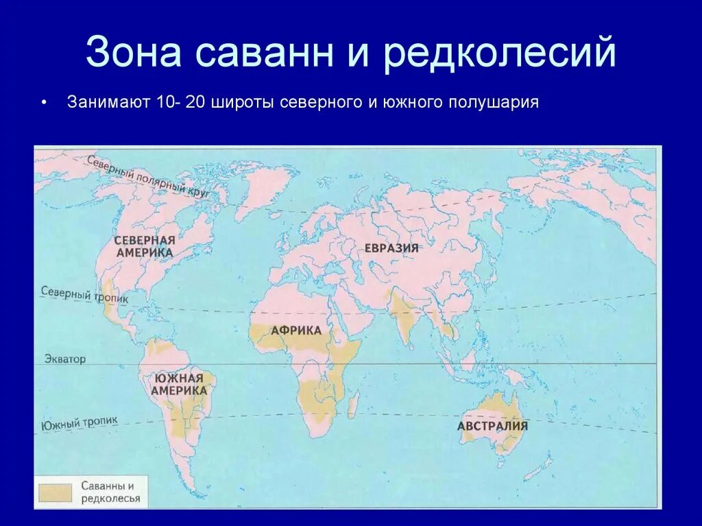 Саванны на каких материках