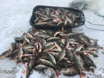 Рыбацкое закрыта