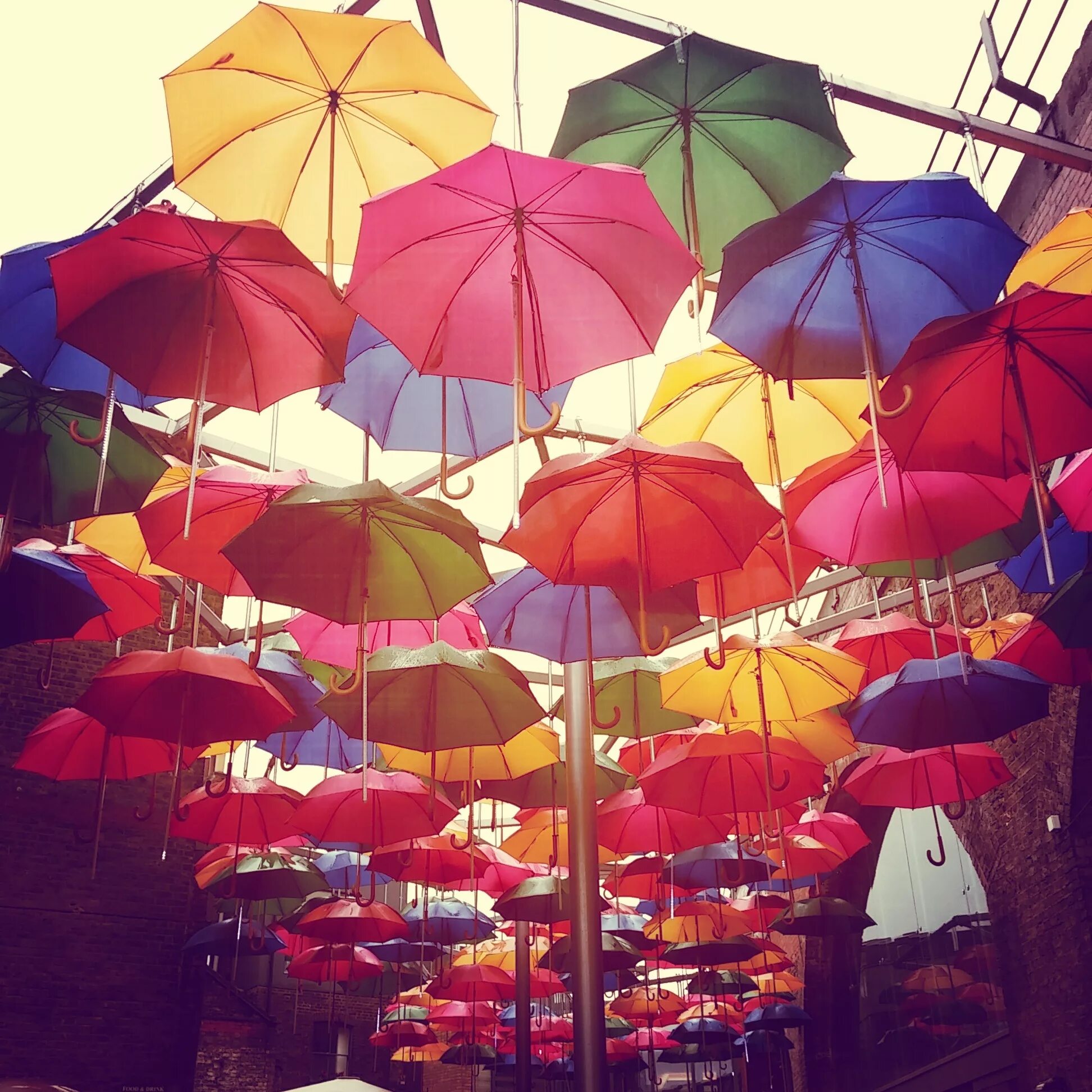 Зонтики. Зонтик для цветов. Большие зонтики. Зонт лепестки. Веселые зонтики