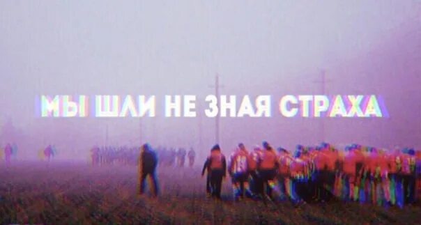 Защитник от страхов. Герой не знает страха а трусливого это чувство никогда не покидает. Бойся что не знаешь бойся что не учишься. Цитаты волка про страх. Цитаты про учебу.