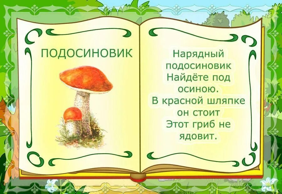 Титульный лист стихов. Стихи про грибы. Детские стихи про грибы. Стих про грибы для детей. Стишки про грибы.
