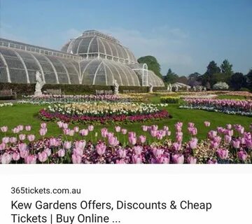 London garden