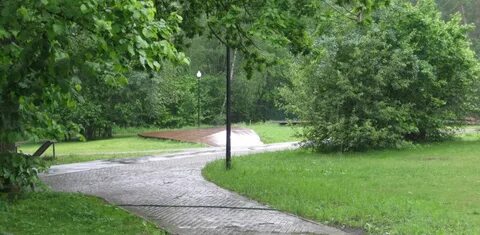 Лесопарк тропарево