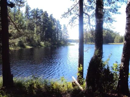 Городно