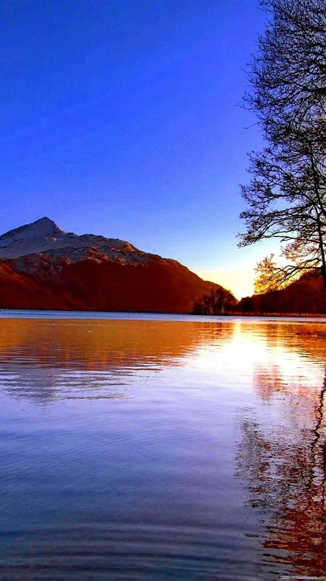 Lake на андроид