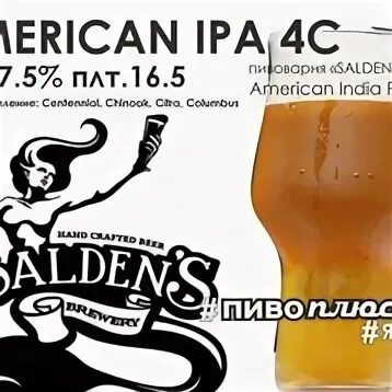 1 c спб. Американ ИПА. Пиво плюс пиво. American IPA 4c.