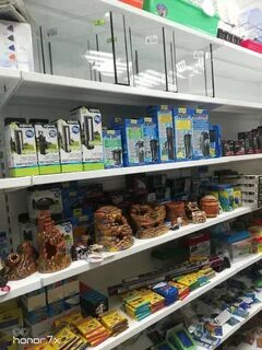 Зоомир петрозаводск