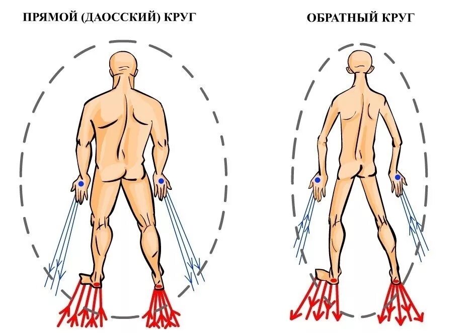 Прямой и обратный даосский круг энергии. Прямой даосский круг и обратный схема. Прямой и обратный даосский круг энергии практика. Прямой и обратный круг энергетические потоки практика. Потоки через тело