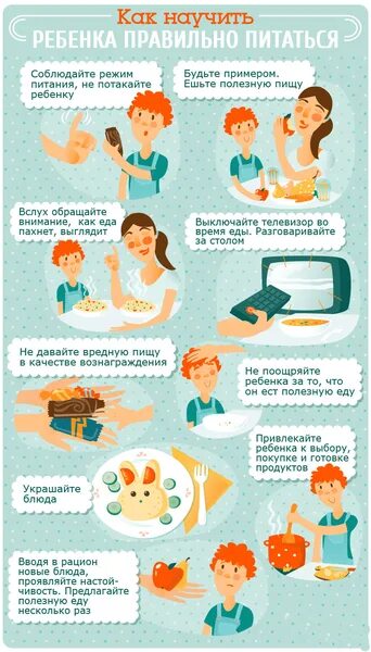 Организация питания в образовательной организации