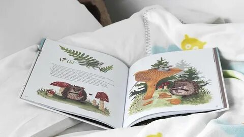 Vue storybook
