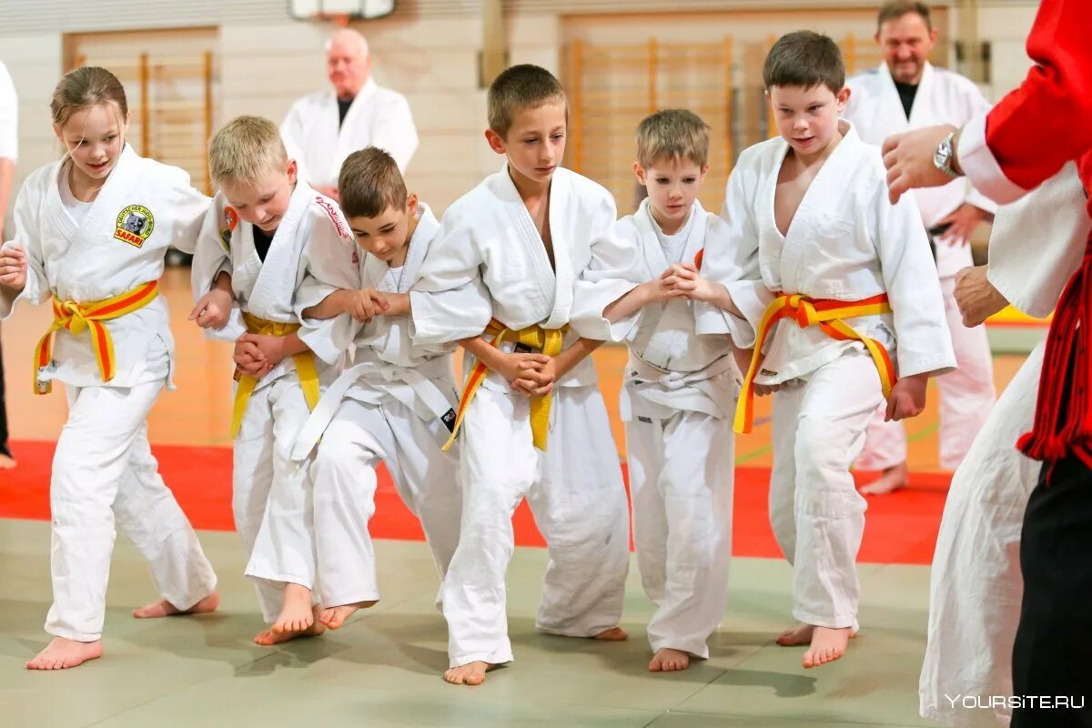 боевые искусства записаться. арб рукопашный бой. школа единоборств.