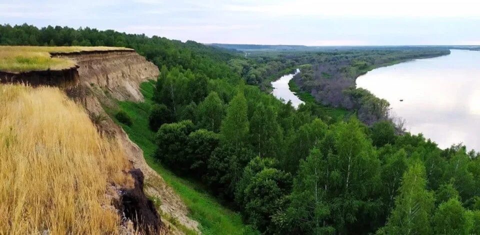 Берег драверта. Берег Драверта Омская. Омск урочище берег Драверта. Берег Драверта Горьковский район Омская область. Село серебряное Омская область берег Драверта.