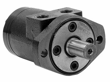 Hydraulic motor