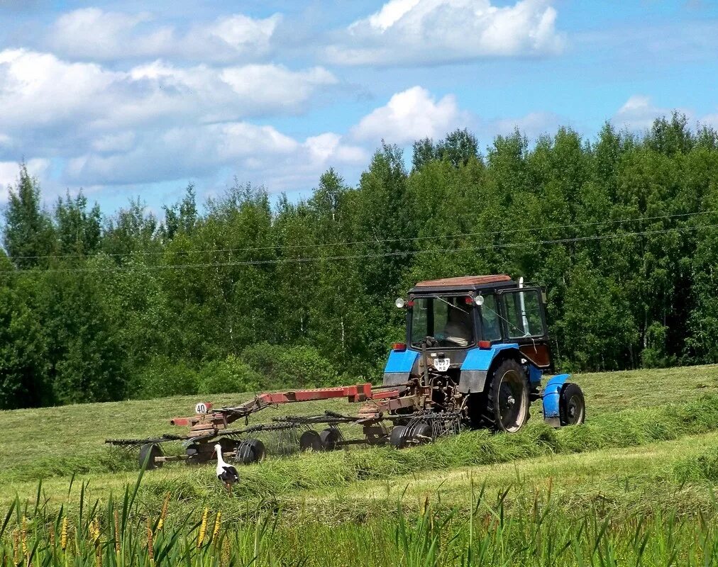 Техосмотр сельхозтехники