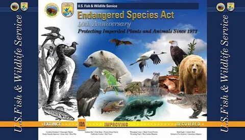 Wildlife services