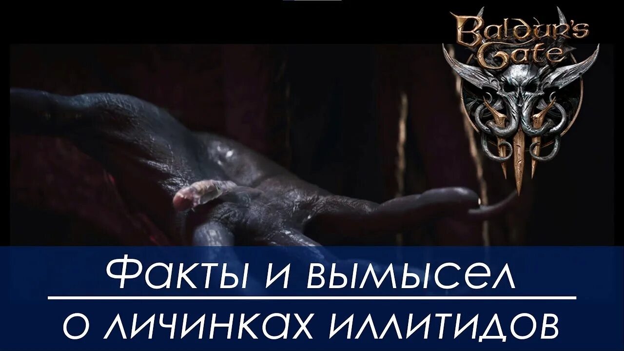 Превратиться в иллитида baldur s gate 3. Baldur&#039;s gate 3 иллитид. личинка иллитида baldur&#039;s gate. baldur&#039;s gate 3 личинка иллитида.
