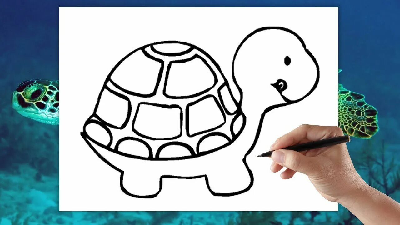Покажи мне черепашку. Черепаха рисунок для детей карандашом. Поэтапное рисование черепахи. Рисунки черепахи для срисовки. Рисунок легкийчерипашки.