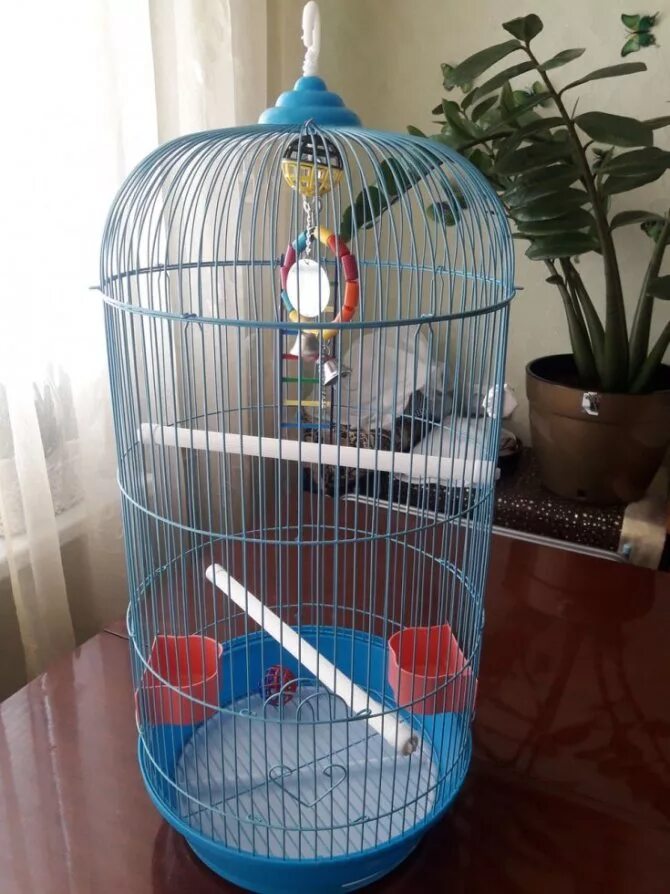 Поставить на клетку 3