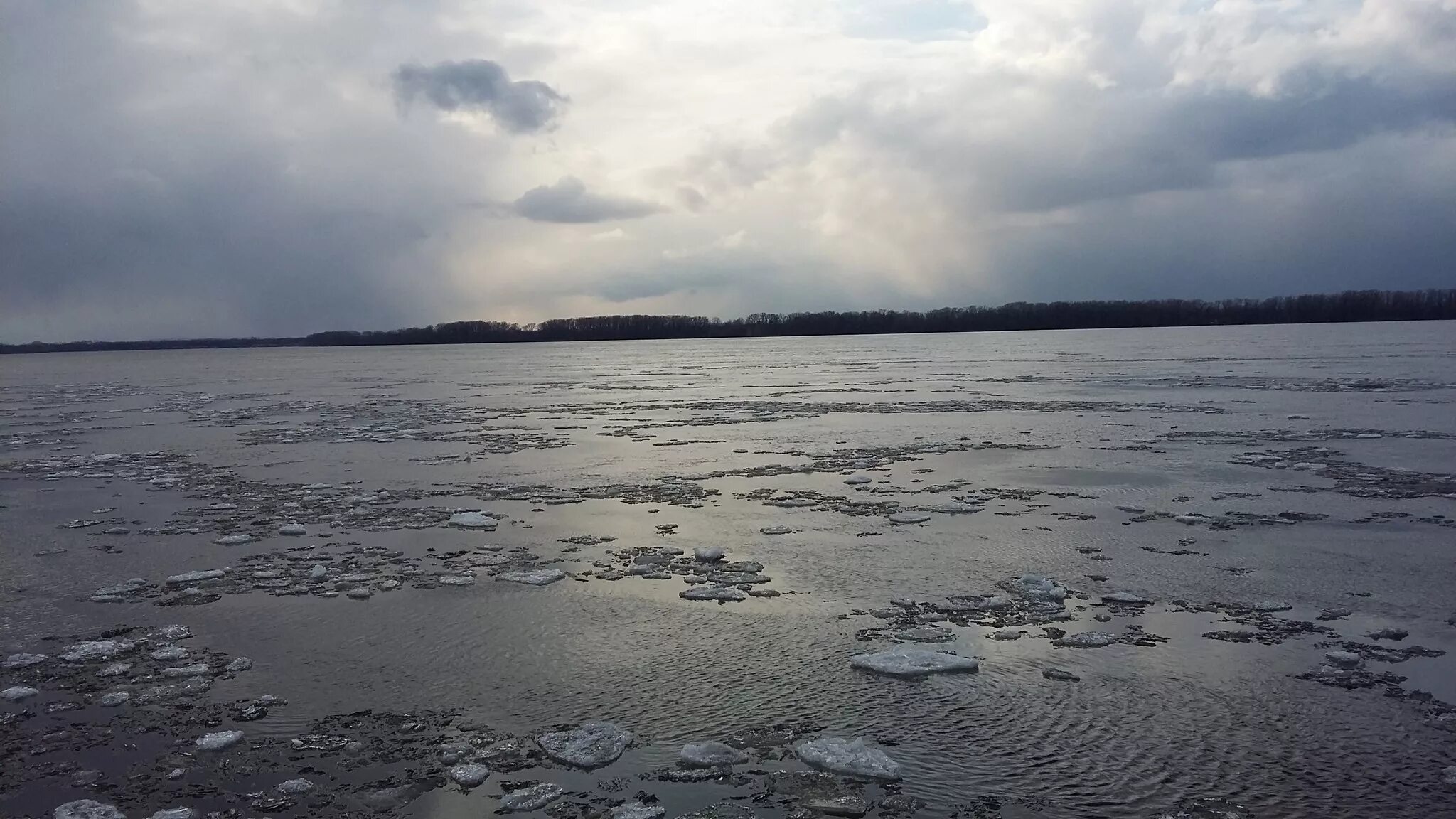 Волга какое половодье. Волга какое половодье. Волга какое половодье. Река волга в волгоградской области. Волга какое половодье.