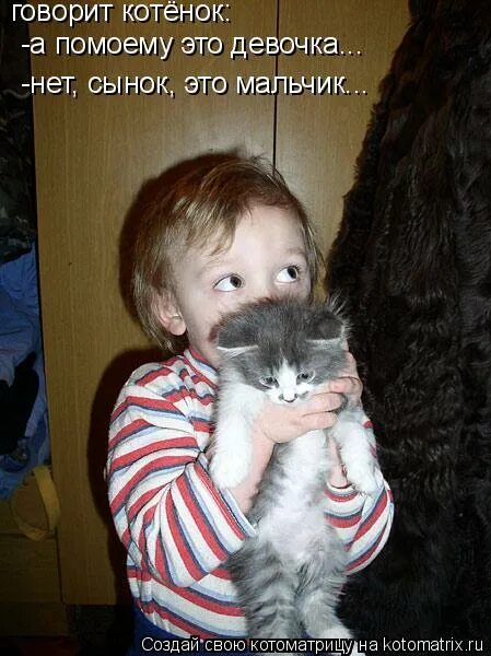 Котенок проснулся. Я хочу котенка. Котенок сказал мама. Смешные подписи к фотографиям. Нежные котята.