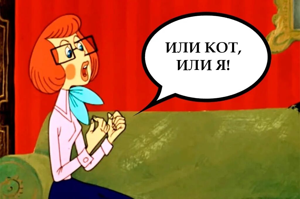 1 раз вижу. Выбирай или он или я простоквашино. простоквашино я тебя выбираю. простоквашино выбирай я или кот. простоквашино этого кота я первый раз вижу.