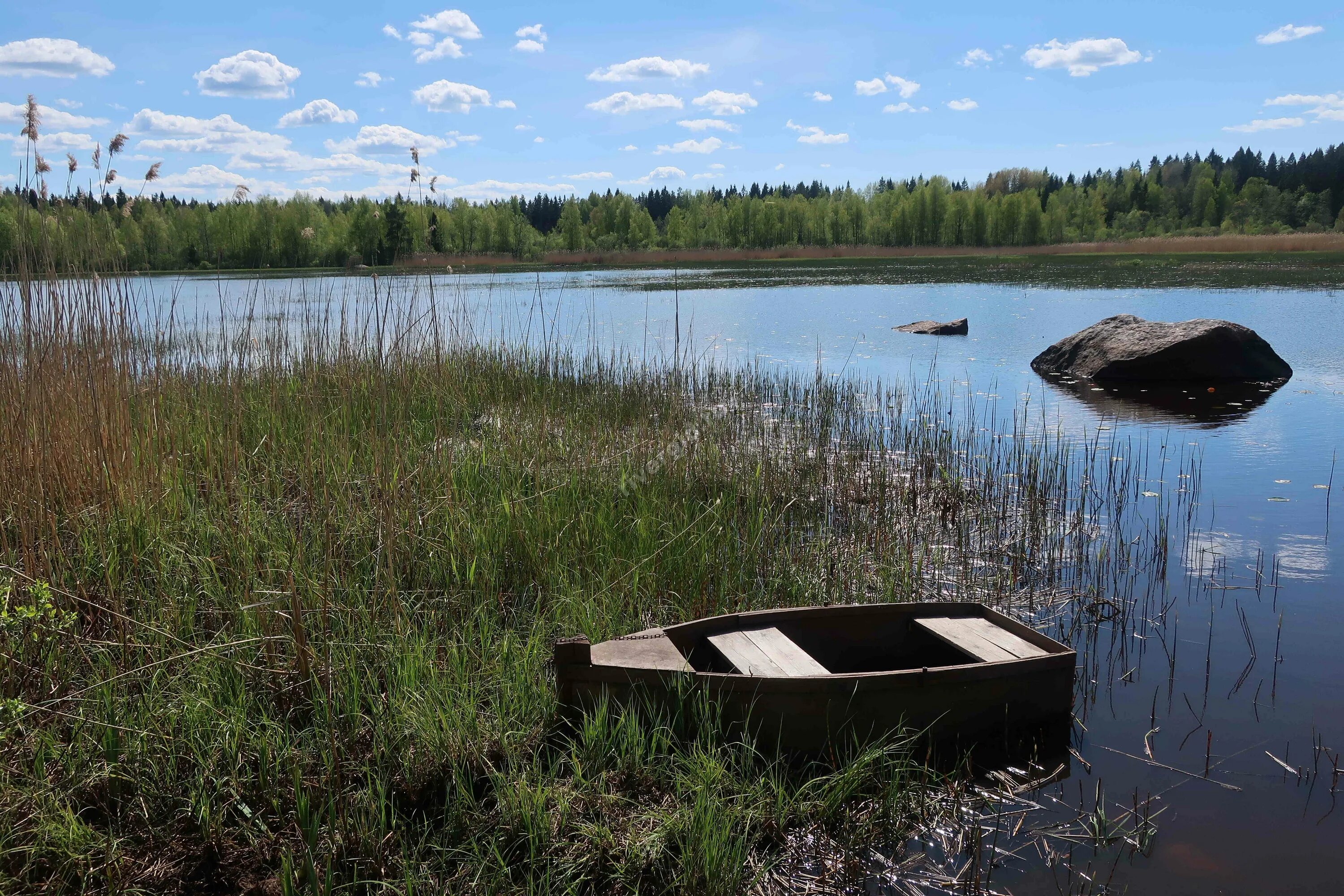 Медвежьи озёра (группа озёр). Озеро Медвежье Курганская область. Медвежьи озёра Московская область. Медвежье озеро Свердловская область. День медвежьих озер