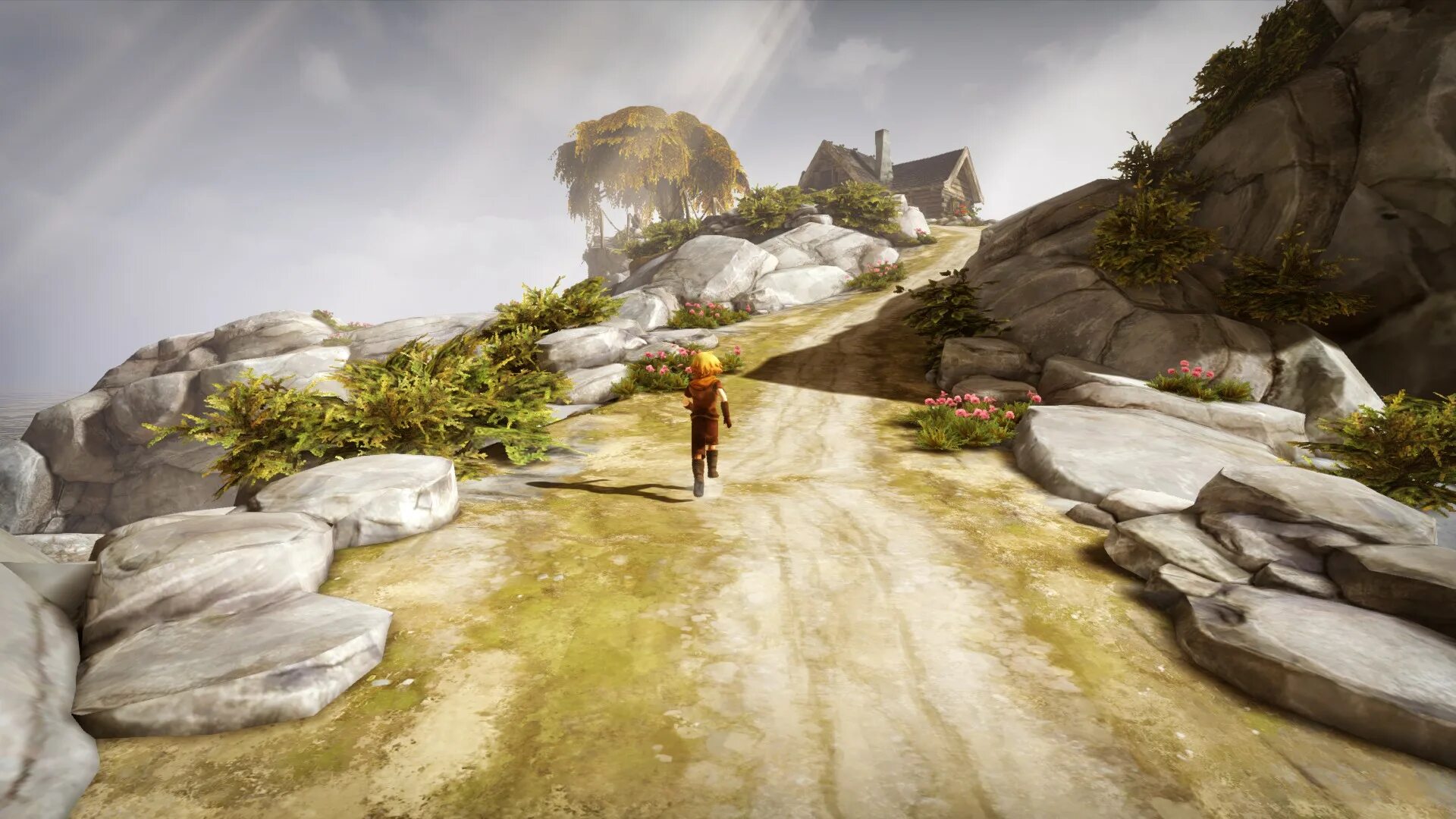 Бразерс игра. Brothers: a Tale of two sons. Brothers: a Tale of two sons (2013). Brothers игра. Brothers a Tale of two sons на двоих.