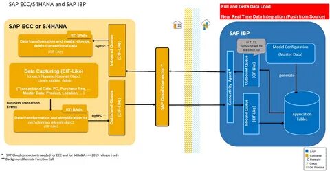 Sap s