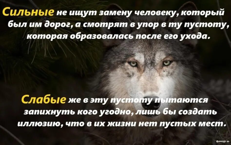 Слабые ищут сильные. Сильные не ищут замену человеку. Слабые высказывание. Слабые люди ищут замену. Сильные люди не ищут замену человеку который.