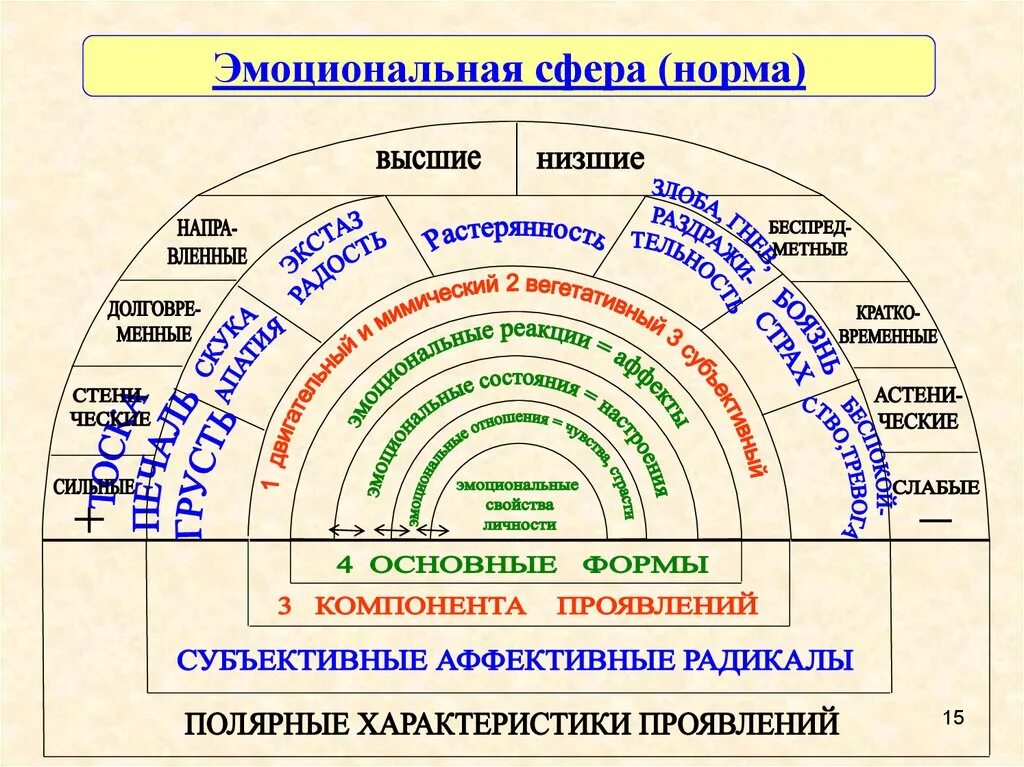 Эмоционально познавательная сфера. Структура эмоциональной сферы. Эмоциональная сфера человека. Эмоциональная сфера схема. Сферы личности.