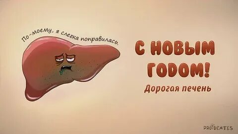 Печень лет