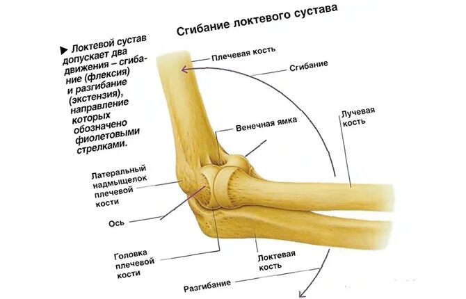 болят кости локтей рук