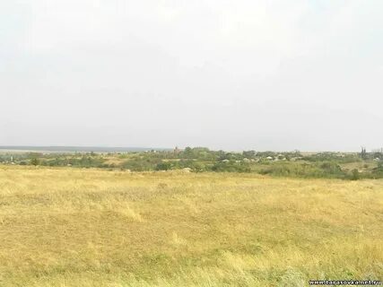 Точен донская
