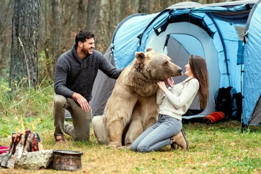 Встреча с диким зверем. Встреча с медведем. Фотосессия с медведем в лесу. Встреча с диким животным. Встреча человека с медведем.