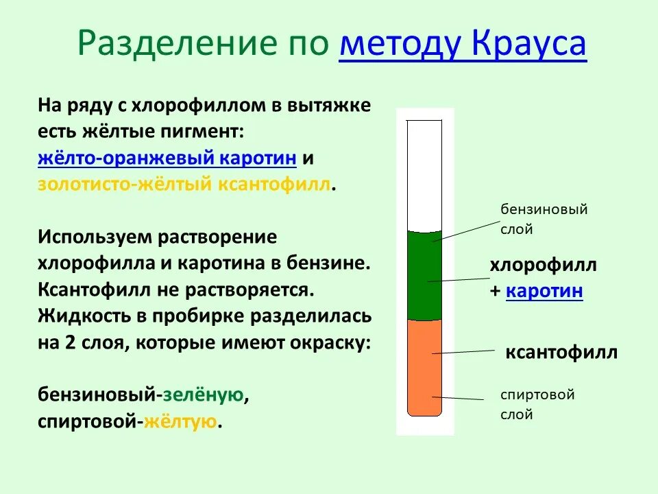 Разделение пигментов листа метод. Разделение пигментов методом Крауса с отделением каротина. Распределение пигментов методом Крауса. Разделение растительных пигментов по Краусу. Хроматография Разделение пигментов.