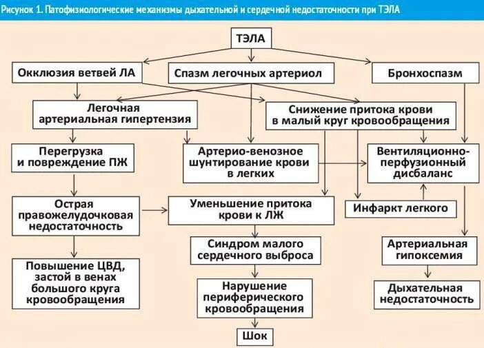 Дыхание при сердечной недостаточности. Механизм обструктивной дыхательной недостаточности. Патогенез дыхательной недостаточности. Тромбоэмболия легочной артерии патогенез. Патогенез легочной эмболии.