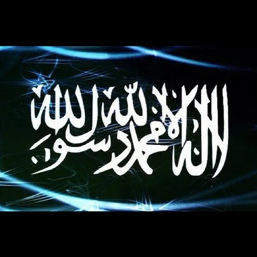 Nasheed speed up